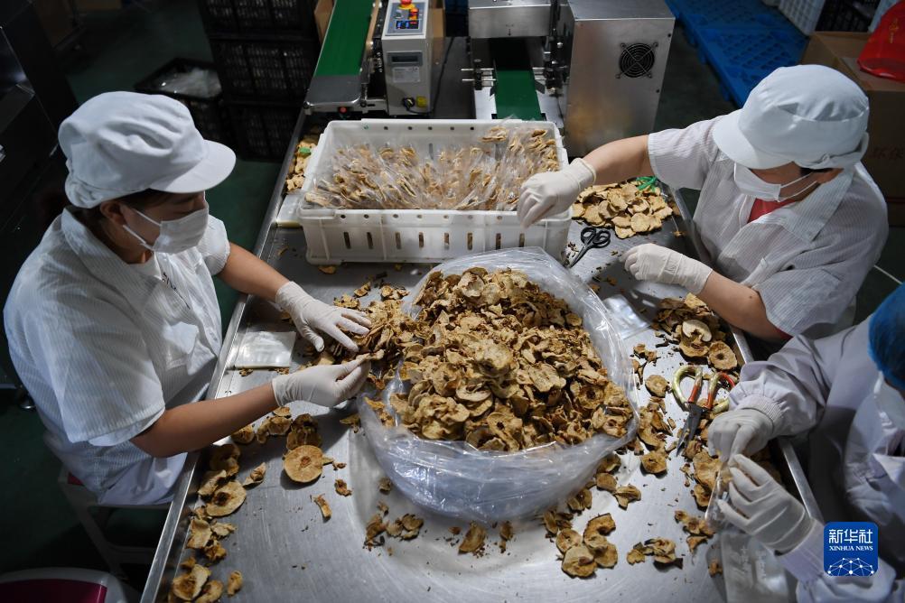 送彩金平台论坛